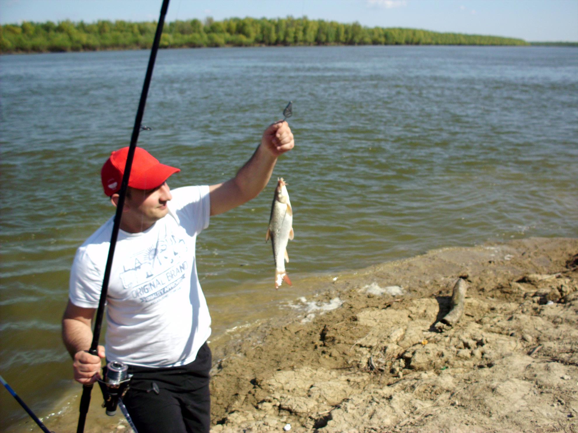 Diverse - img1229.JPG